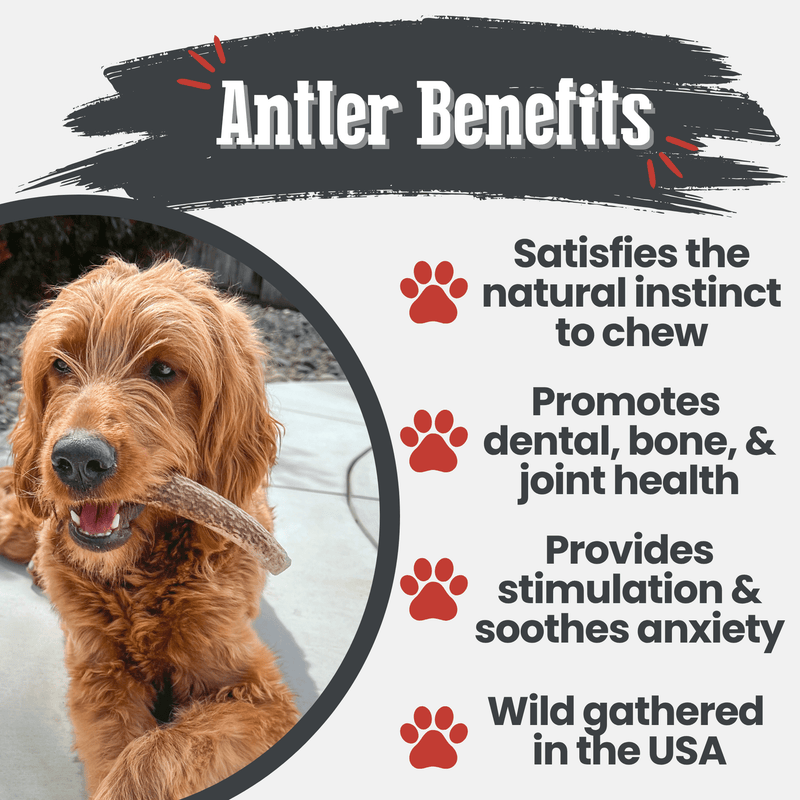 Farm To Pet Elk Antler Dog Chews | All-Natural Whole and Split Elk Antler Chews for Dogs Antler Dog Chew