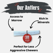 Farm To Pet Elk Antler Dog Chews | All-Natural Whole and Split Elk Antler Chews for Dogs Antler Dog Chew