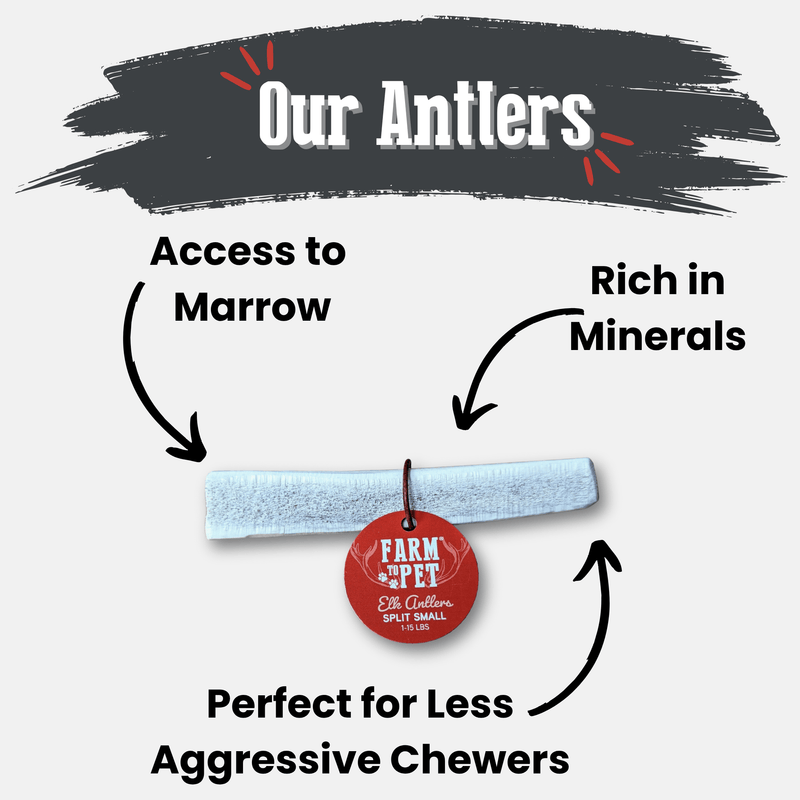Farm To Pet Elk Antler Dog Chews | All-Natural Whole and Split Elk Antler Chews for Dogs Antler Dog Chew