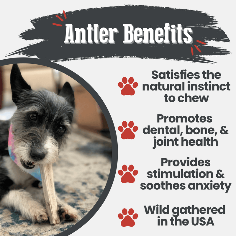 Farm To Pet Elk Antler Dog Chews | All-Natural Whole and Split Elk Antler Chews for Dogs Antler Dog Chew