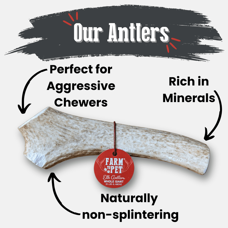Farm To Pet Elk Antler Dog Chews | All-Natural Whole and Split Elk Antler Chews for Dogs Antler Dog Chew