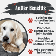 Farm To Pet Elk Antler Dog Chews | All-Natural Whole and Split Elk Antler Chews for Dogs Antler Dog Chew