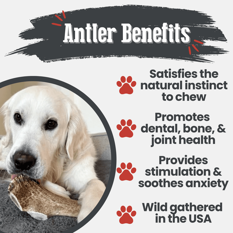 Farm To Pet Elk Antler Dog Chews | All-Natural Whole and Split Elk Antler Chews for Dogs Antler Dog Chew