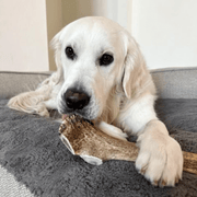 Farm To Pet Elk Antler Dog Chews | All-Natural Whole and Split Elk Antler Chews for Dogs Antler Dog Chew