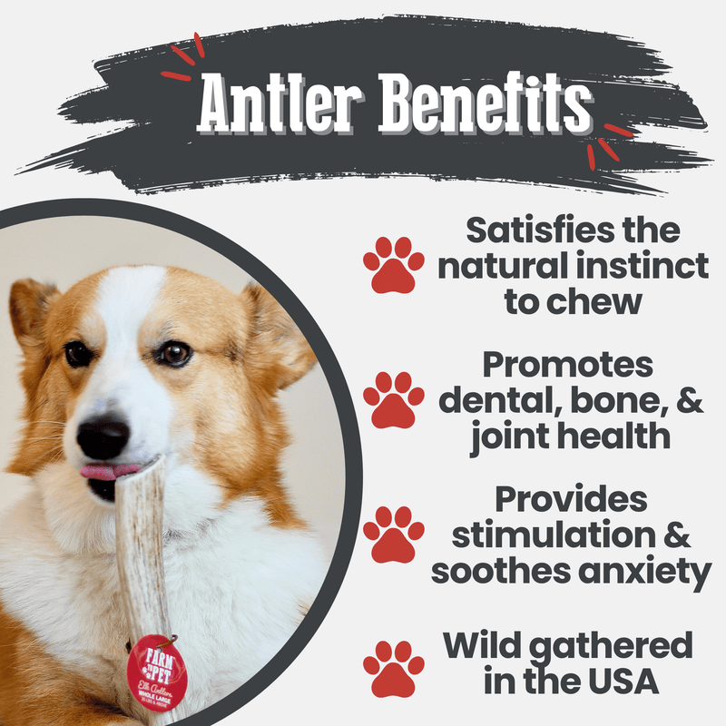 Farm To Pet Elk Antler Dog Chews | All-Natural Whole and Split Elk Antler Chews for Dogs Antler Dog Chew