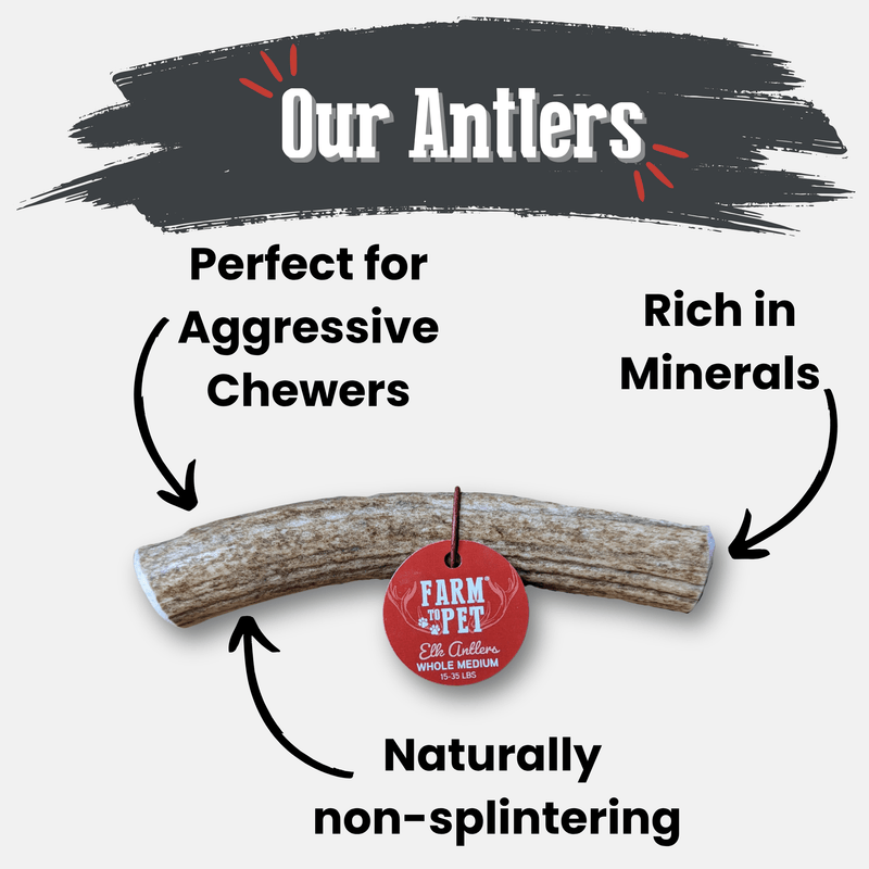 Farm To Pet Elk Antler Dog Chews | All-Natural Whole and Split Elk Antler Chews for Dogs Antler Dog Chew