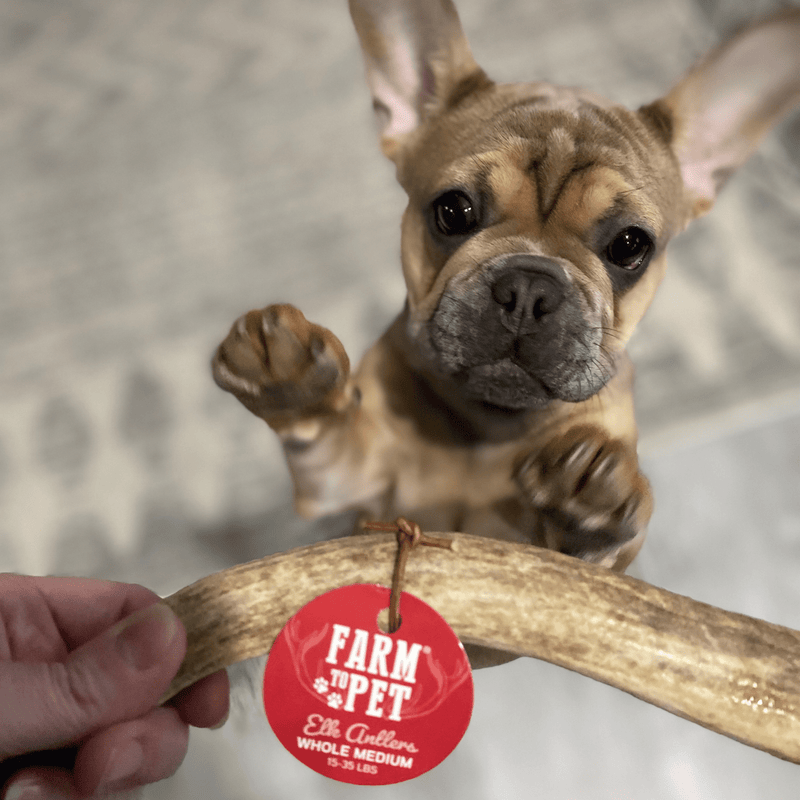 Farm To Pet Elk Antler Dog Chews | All-Natural Whole and Split Elk Antler Chews for Dogs Antler Dog Chew