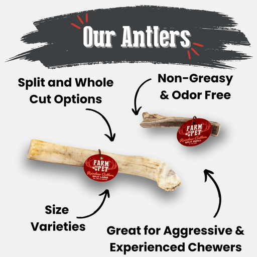 Farm To Pet Reindeer Antler Dog Chews | Organic Chews for Dogs Antler Dog Chew