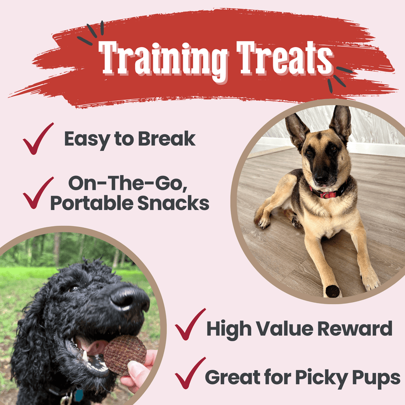 Farm To Pet Beef Chips Dog Treats | Single-Ingredient Healthy Treats for Dogs Chip