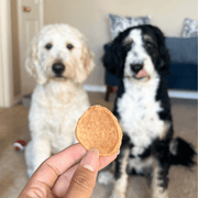 Farm To Pet Chicken Chips for Dogs | All-Natural Single-Ingredient Dog Treats Chip