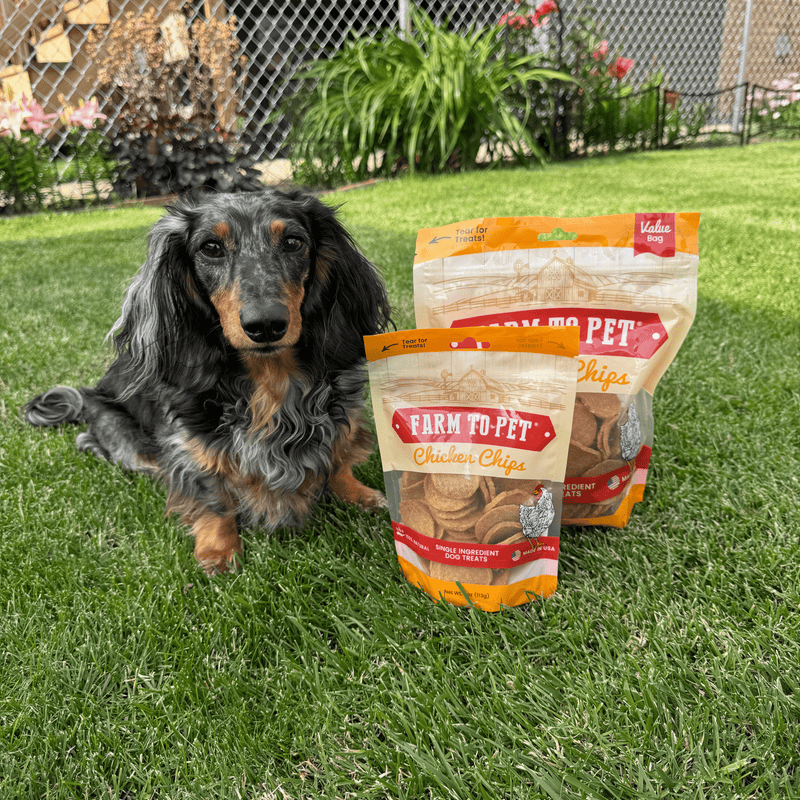 Farm To Pet Chicken Chips for Dogs | All-Natural Single-Ingredient Dog Treats Chip