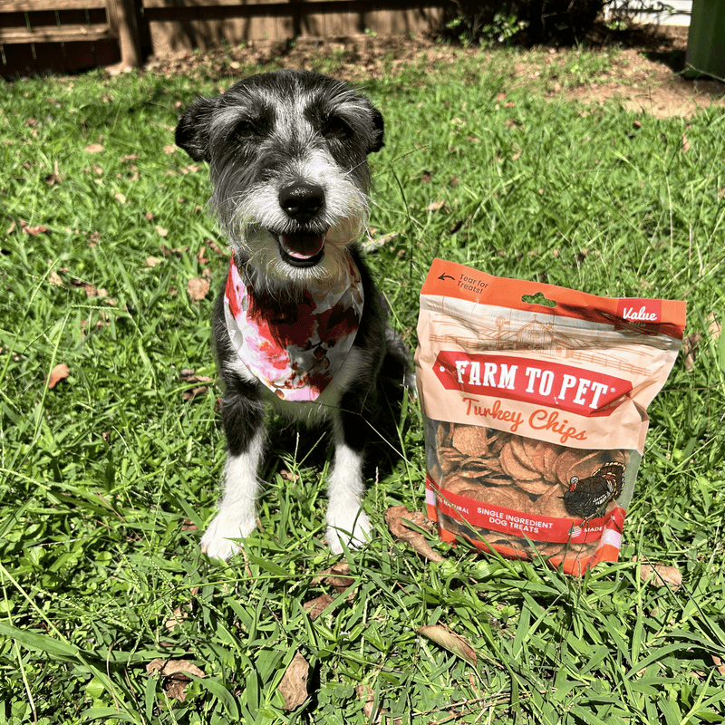 Farm To Pet Turkey Chips for Dogs | All-Natural Single-Ingredient Healthy Dog Treats Chip