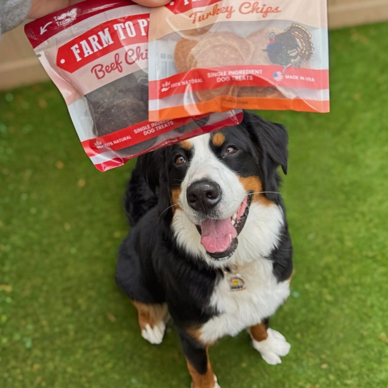 Farm To Pet Puppy Packs 'n Snacks Dog Treat Starter Pack | Single-Ingredient Training Treats Bundle