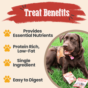 Farm To Pet Snack Pack Dog Treat Sampler Snack Pack