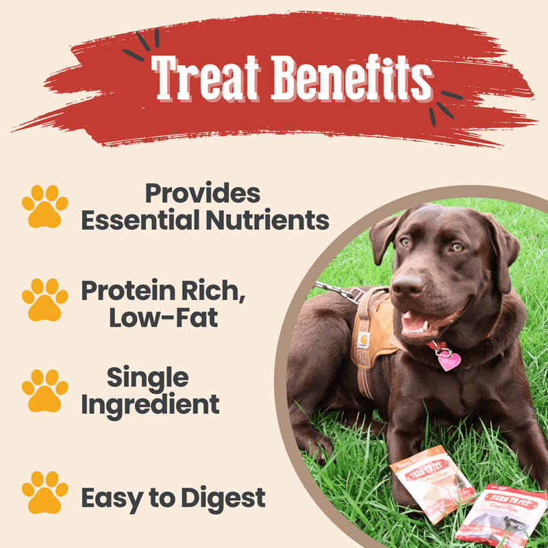 Farm To Pet Snack Pack Dog Treat Sampler Snack Pack