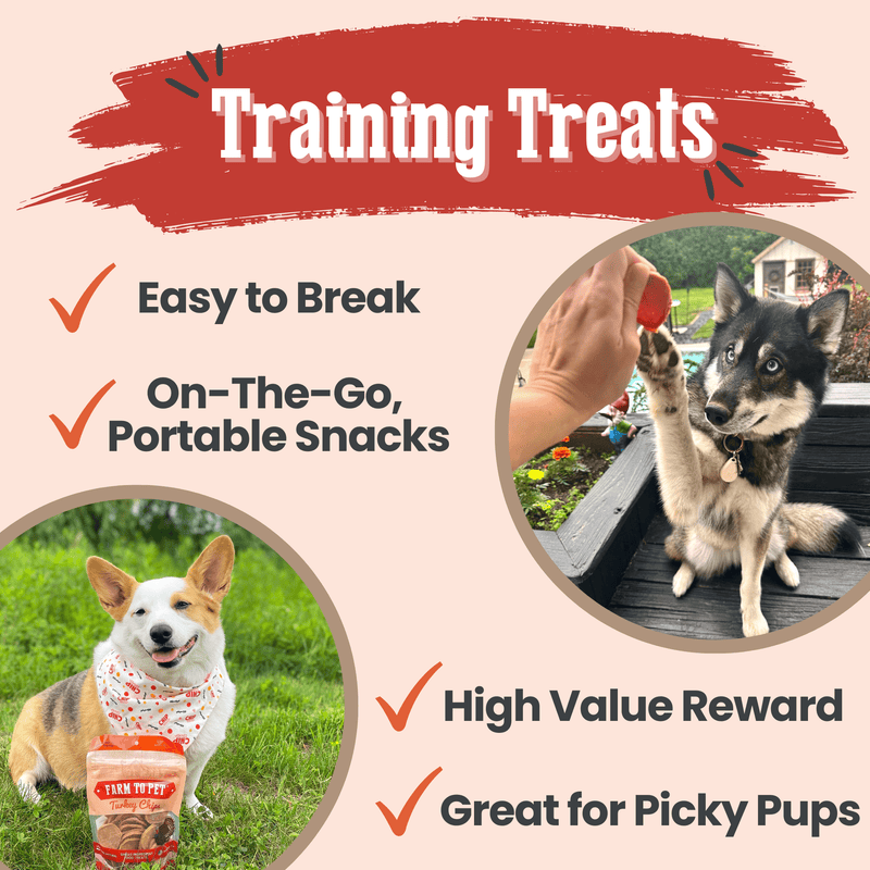 Farm To Pet Turkey Chips for Dogs | All-Natural Single-Ingredient Healthy Dog Treats Chip