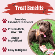 Farm To Pet Puppy Packs 'n Snacks Dog Treat Starter Pack | Single-Ingredient Training Treats Bundle