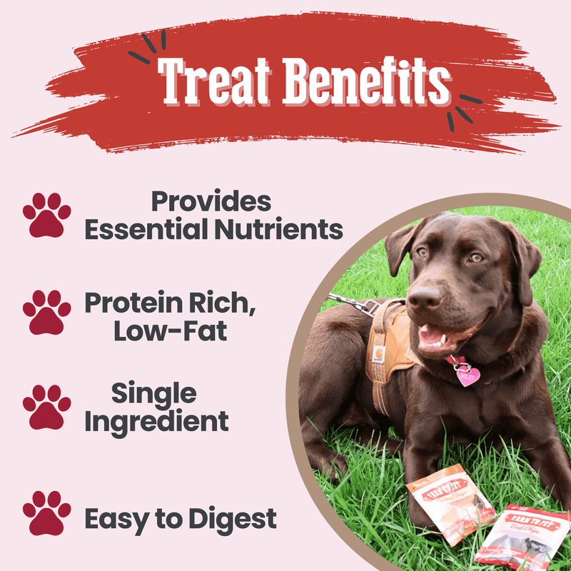 Farm To Pet Puppy Packs 'n Snacks Dog Treat Starter Pack | Single-Ingredient Training Treats Bundle