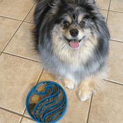 Farm To Pet Slow Feeder Dog Bowls Dog Bowl
