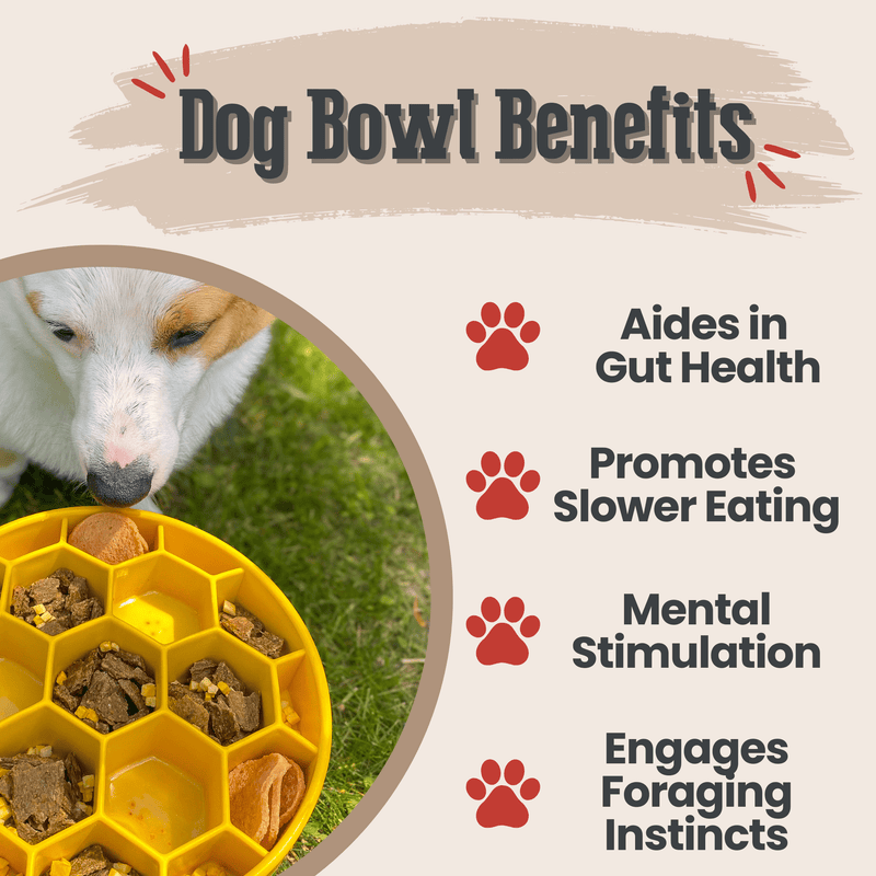 Farm To Pet Slow Feeder Dog Bowls Dog Bowl