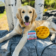 Farm To Pet Slow Feeder Dog Bowls Dog Bowl
