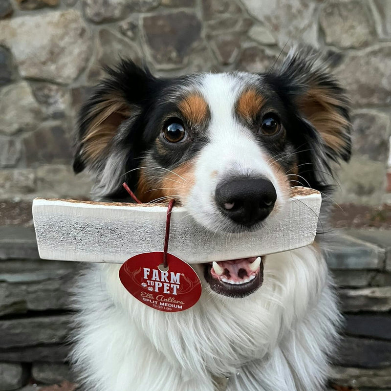 Farm To Pet Elk Antler Dog Chews | All-Natural Whole and Split Elk Antler Chews for Dogs Antler Dog Chew