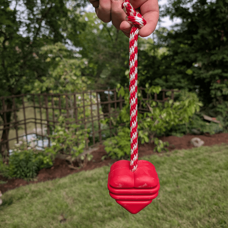 Farm To Pet Chew Toys Tug Toy