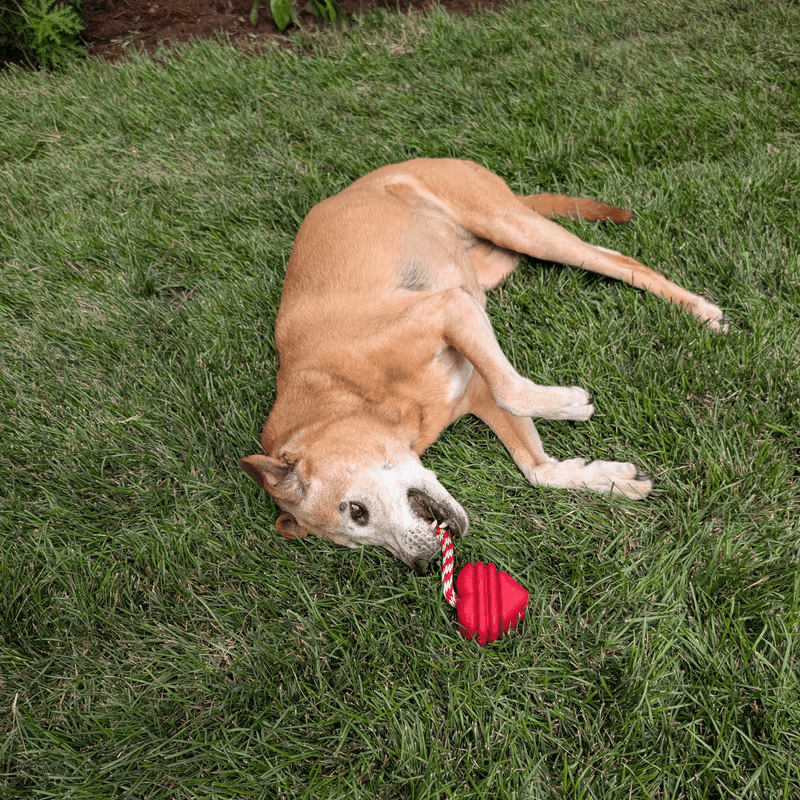 Farm To Pet Chew Toys Tug Toy