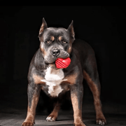Farm To Pet Chew Toys Tug Toy