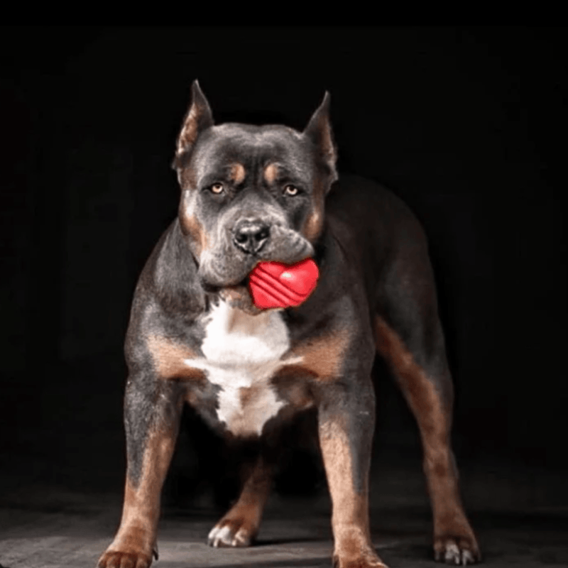 Farm To Pet Chew Toys Tug Toy