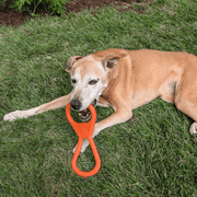 Farm To Pet Chew Toys Tug Toy