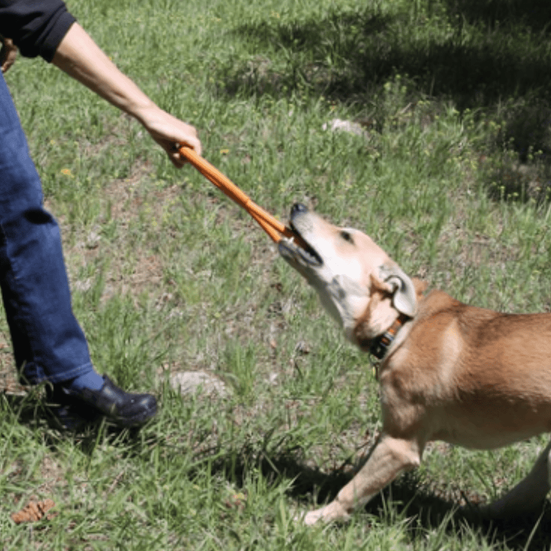 Farm To Pet Chew Toys Tug Toy
