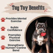 Farm To Pet Chew Toys Tug Toy