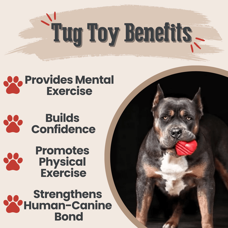 Farm To Pet Chew Toys Tug Toy