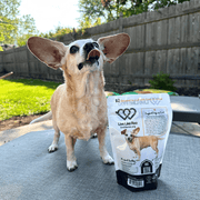 Farm To Pet Live Like Roo Turkey Chips for Dogs | Dog Treats That Give Back Chip