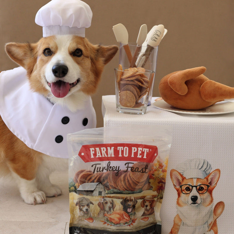 Turkey Feast Chips