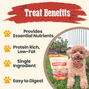 Farm To Pet Chicken Chips for Dogs | All-Natural Single-Ingredient Dog Treats Chip