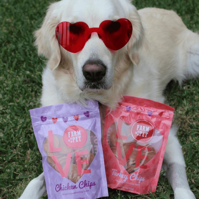 Farm To Pet Puppy Love Dog Treat Duo | Poultry Chip Variety Pack Chip