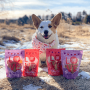 Farm To Pet Puppy Love Dog Treat Duo | Poultry Chip Variety Pack Chip