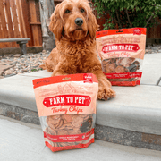 Farm To Pet Turkey Chips for Dogs | All-Natural Single-Ingredient Healthy Dog Treats Chip
