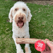 Farm To Pet Elk Antler Dog Chews | All-Natural Whole and Split Elk Antler Chews for Dogs Antler Dog Chew
