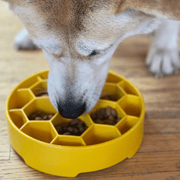 Farm To Pet Slow Feeder Dog Bowls Dog Bowl