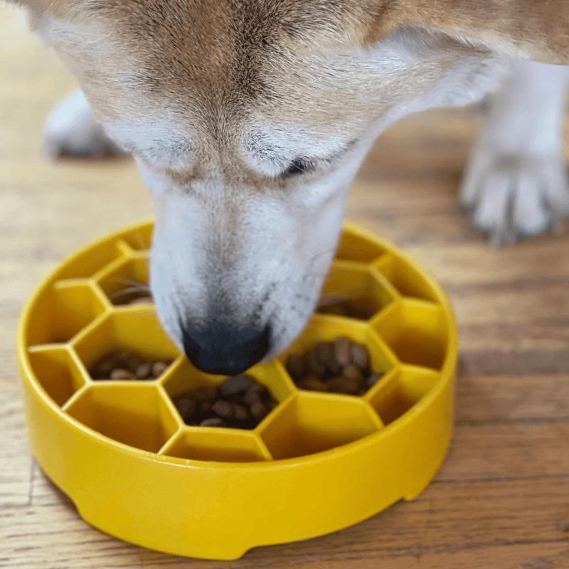 Farm To Pet Slow Feeder Dog Bowls Dog Bowl