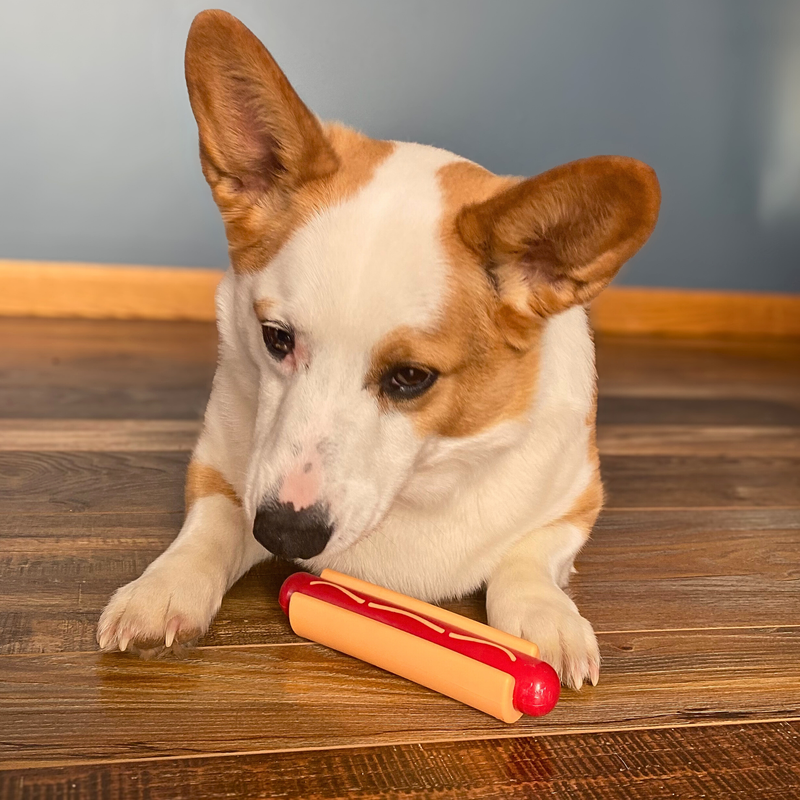 Farm To Pet Chew Toys Tug Toy