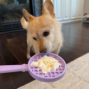 Farm To Pet Lick Sticks | Interactive Dog Training Toy Lick Stick