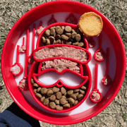 Farm To Pet Slow Feeder Dog Bowls Dog Bowl