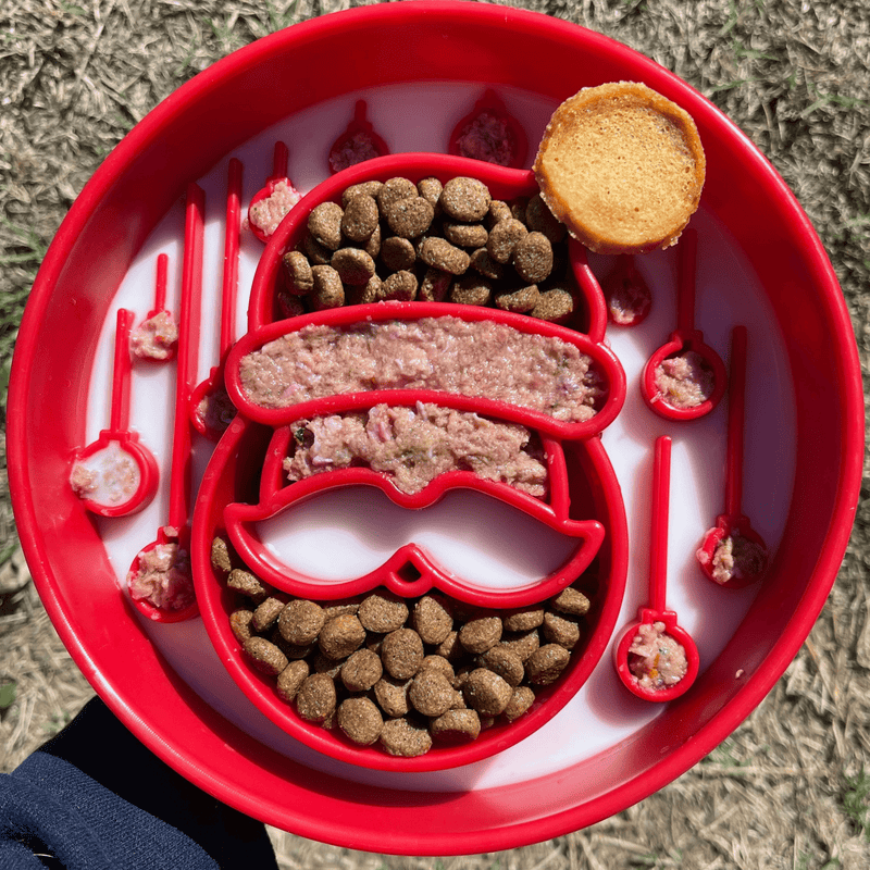 Farm To Pet Slow Feeder Dog Bowls Dog Bowl