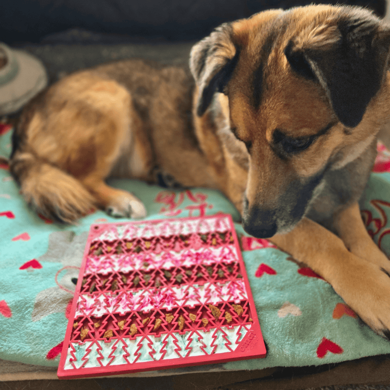 Farm To Pet Dog Lick Mats Lick Mat