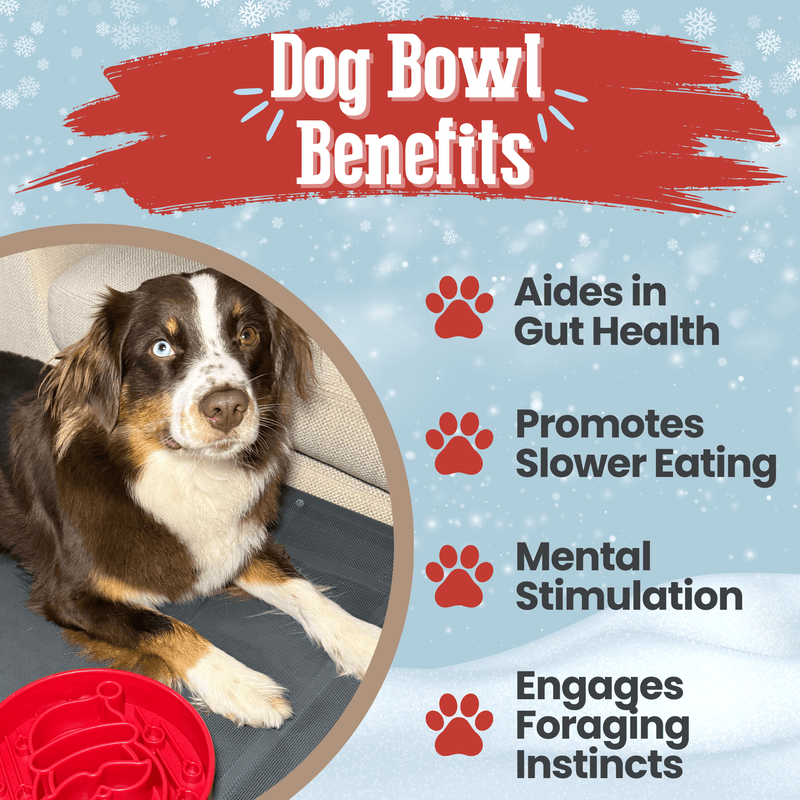 Farm To Pet Slow Feeder Dog Bowls Dog Bowl
