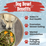 Farm To Pet Slow Feeder Dog Bowls Dog Bowl